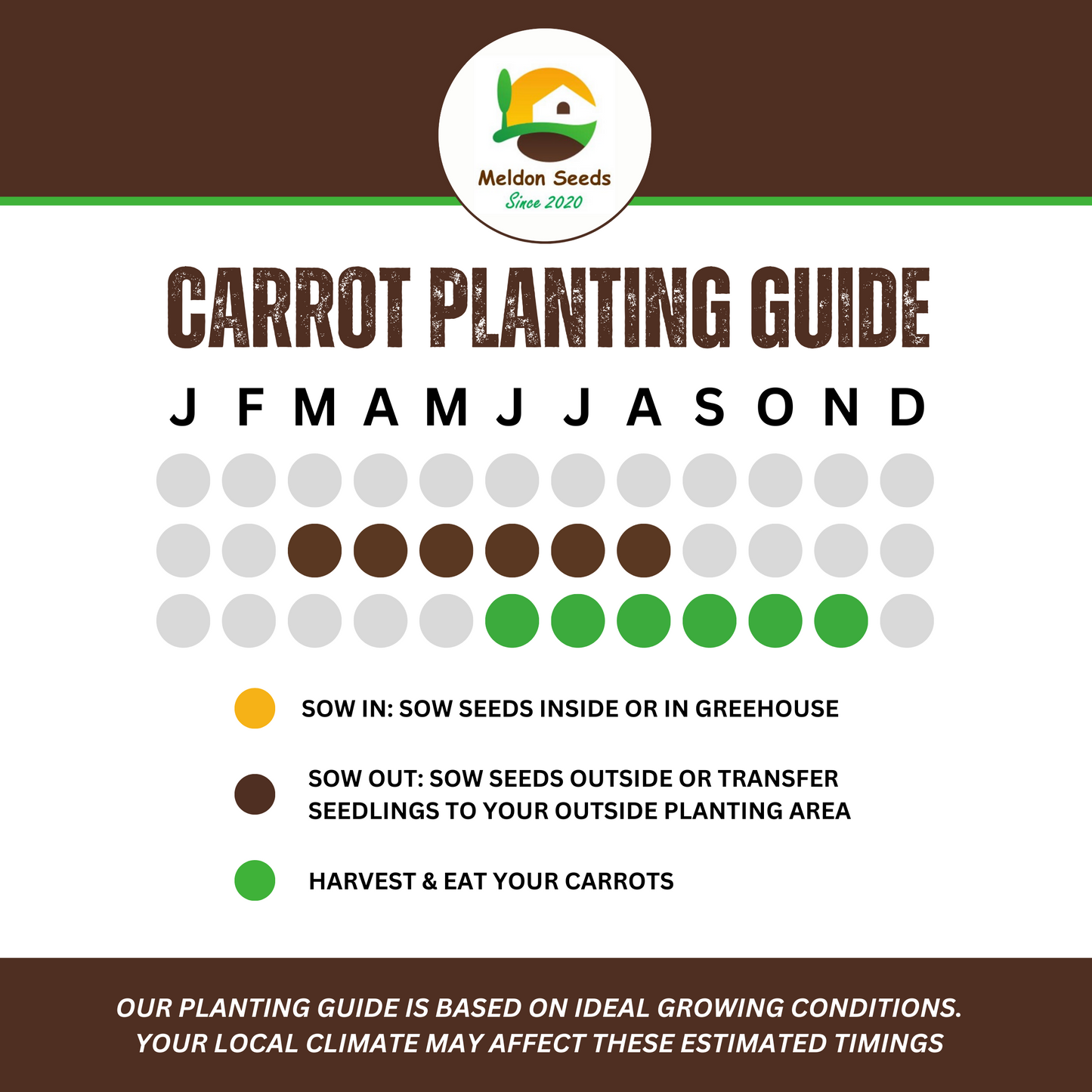 Rainbow Vegetables Collection. 5 Colourful Vegetable Varieties.