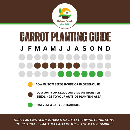 Rainbow Vegetables Collection. 5 Colourful Vegetable Varieties.