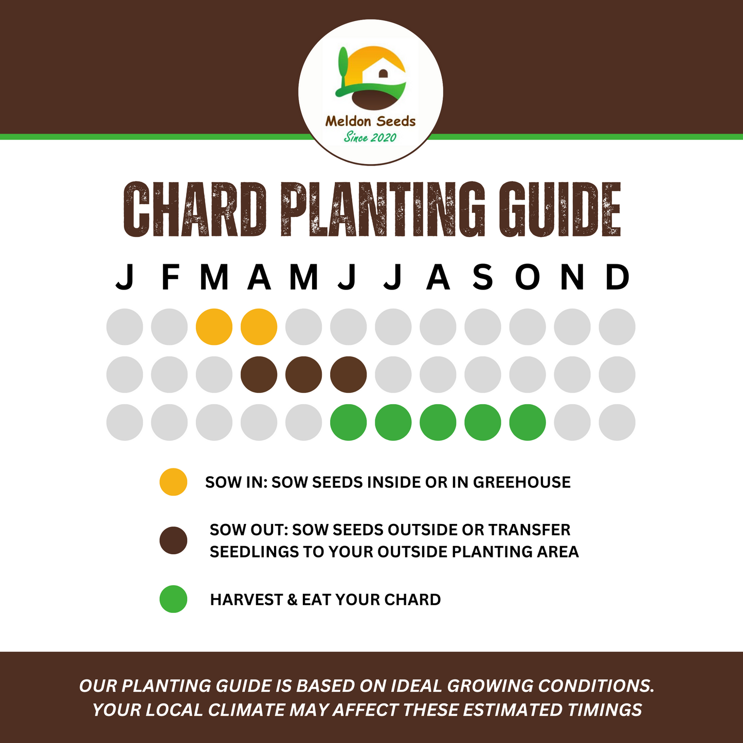 Rainbow Vegetables Collection. 5 Colourful Vegetable Varieties.