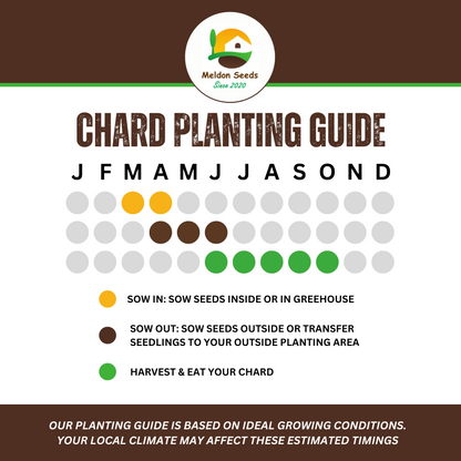 Rainbow Vegetables Collection. 5 Colourful Vegetable Varieties.