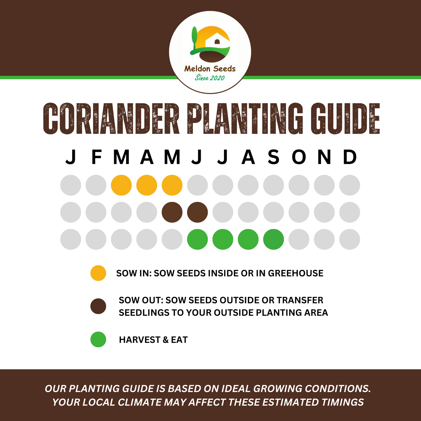 Perfect for Pots Herb Seed Starter Bundle 6 Easy to Grow Herbs Ideal from Growing Indoors in Pots or Containers