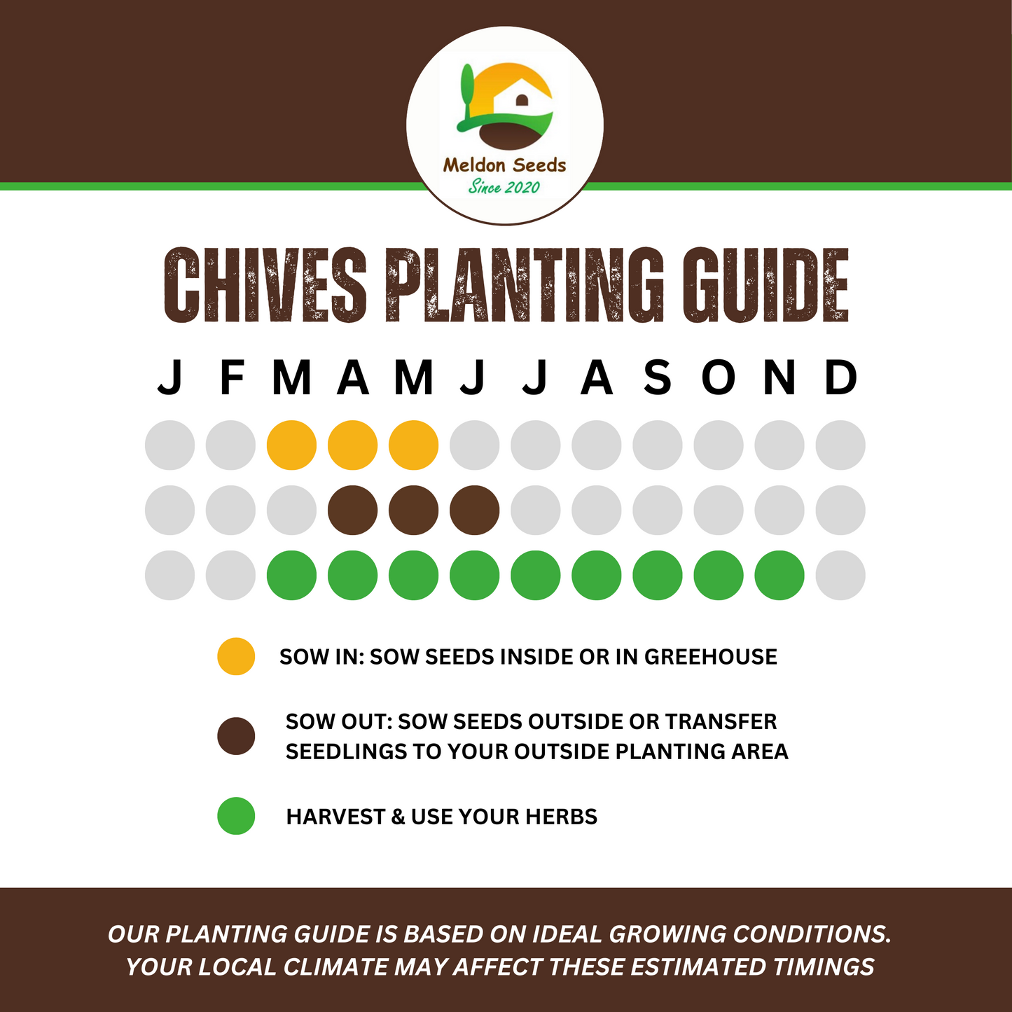 Perfect for Pots Herb Seed Starter Bundle 6 Easy to Grow Herbs Ideal from Growing Indoors in Pots or Containers