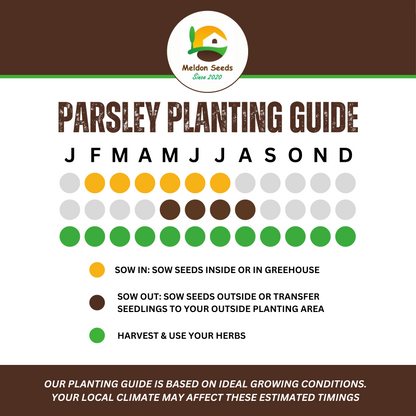 Perfect for Pots Herb Seed Starter Bundle 6 Easy to Grow Herbs Ideal from Growing Indoors in Pots or Containers