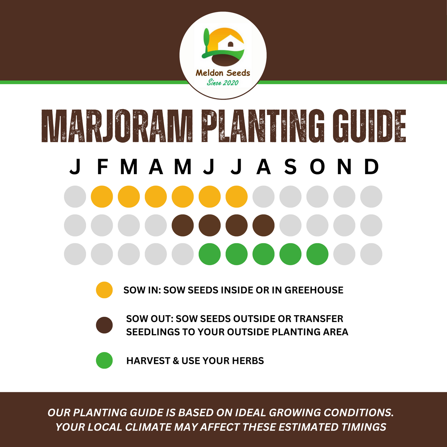 Perfect for Pots Herb Seed Starter Bundle 6 Easy to Grow Herbs Ideal from Growing Indoors in Pots or Containers