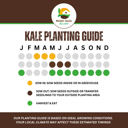 Winter Hardy Vegetable Collection. 6 Easy to Grow Hardy Vegetable Varieties