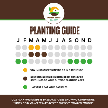 Winter Hardy Vegetable Collection. 6 Easy to Grow Hardy Vegetable Varieties