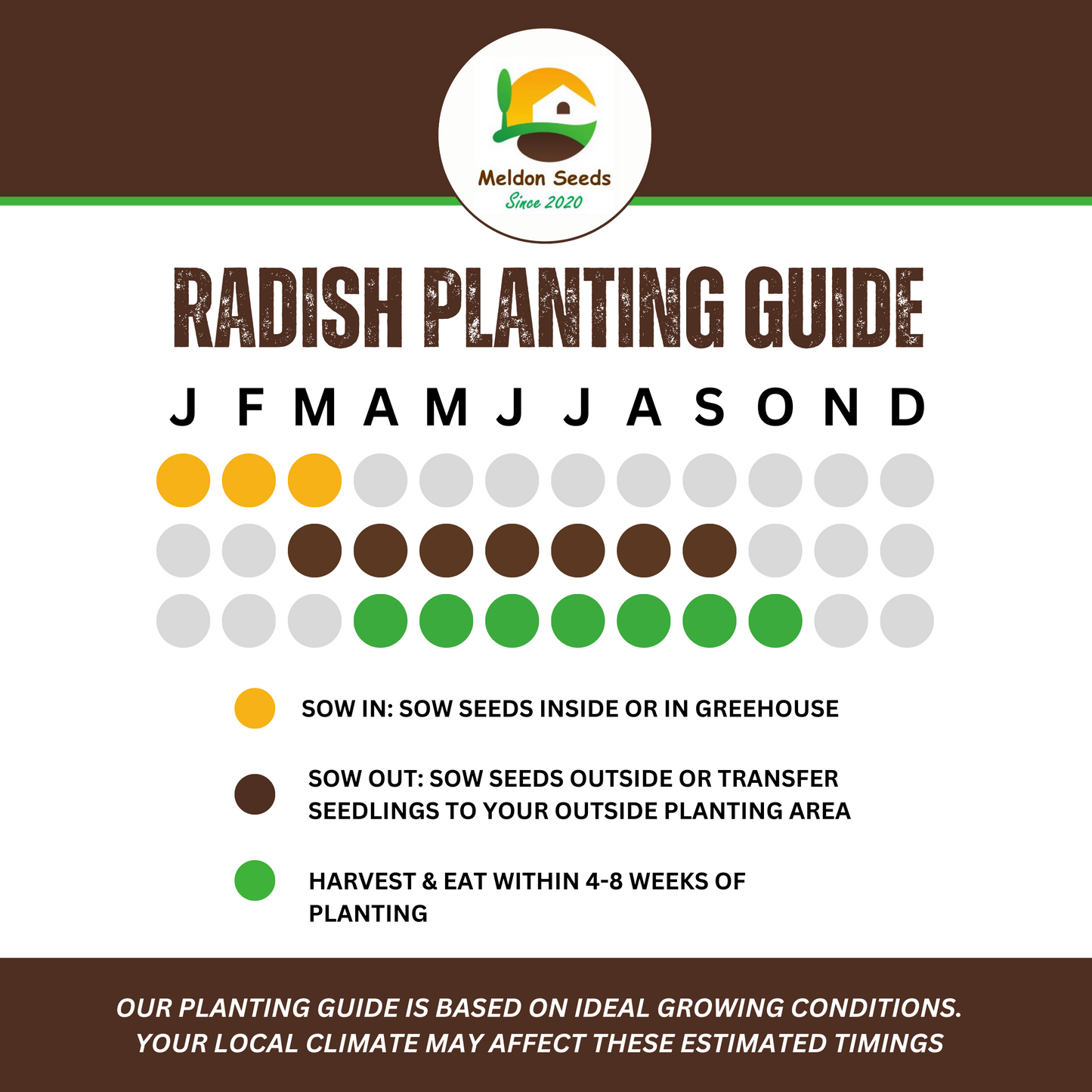 Rainbow Vegetables Collection. 5 Colourful Vegetable Varieties.