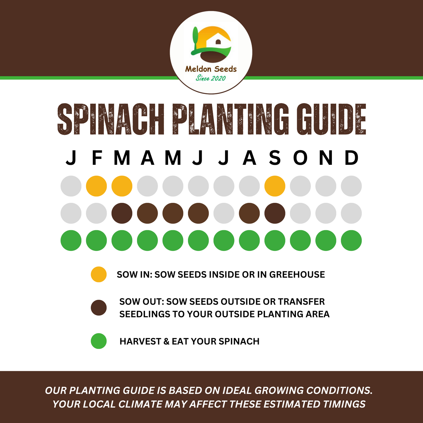 Winter Hardy Vegetable Collection. 6 Easy to Grow Hardy Vegetable Varieties