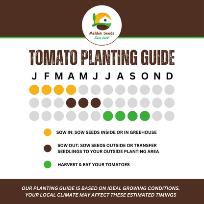 Rainbow Vegetables Collection. 5 Colourful Vegetable Varieties.