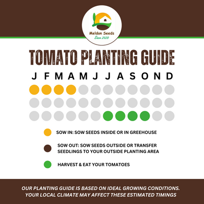 Vegetables Garden Starter Collection. 6 Easy to Grow Vegetable Varieties