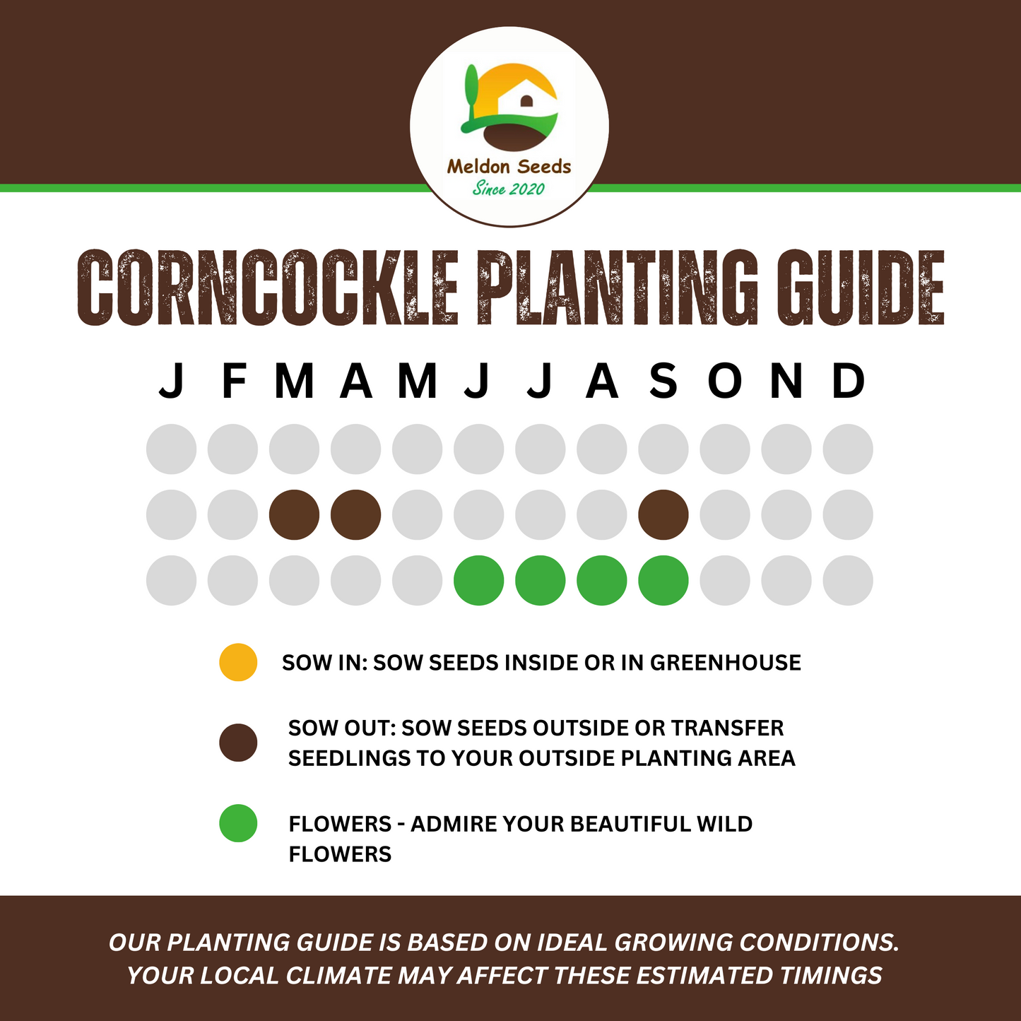 Wildlife Attractive Collection. 5 Native Wild Flower Varieties