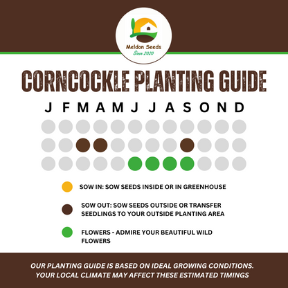 Wildlife Attractive Collection. 5 Native Wild Flower Varieties