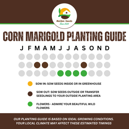 Wildlife Attractive Collection. 5 Native Wild Flower Varieties