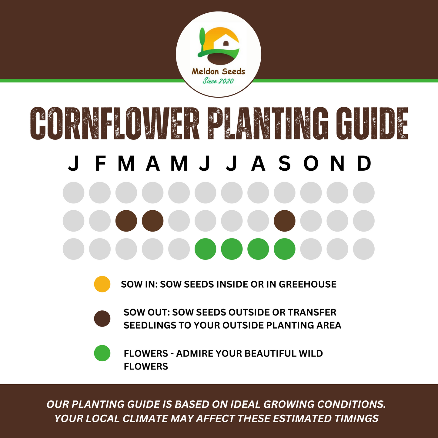 Corn Flower Collection. 3 Native Corn Flower Varieties