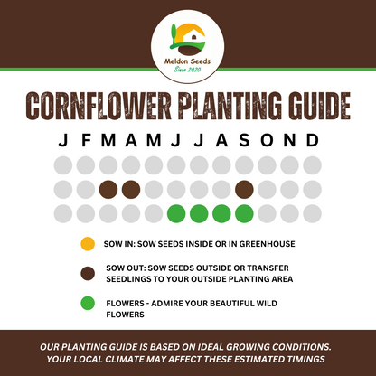 Wildlife Attractive Collection. 5 Native Wild Flower Varieties