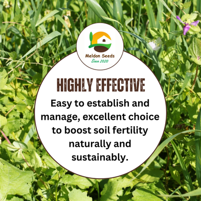 Meldon Seeds – Autumn and Winter Green Manure Mix - 1kg