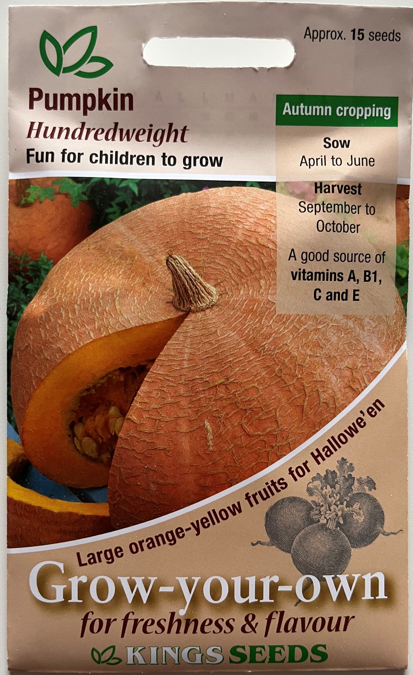 Pumpkin Hundredweight 15 Seeds