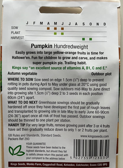 Pumpkin Hundredweight 15 Seeds