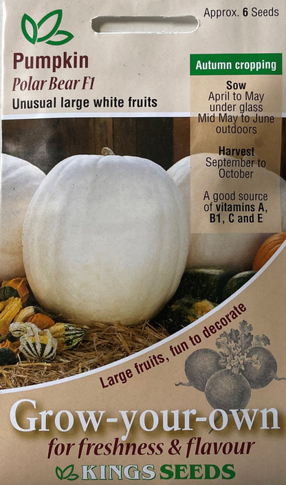 Pumpkin Polar Bear F1 6 Seeds