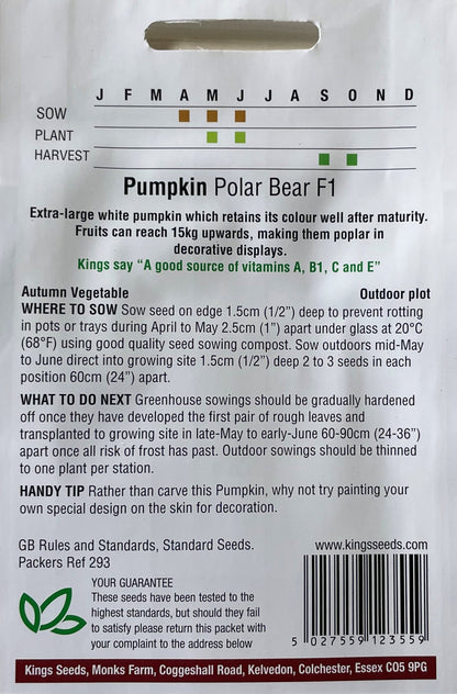 Pumpkin Polar Bear F1 6 Seeds