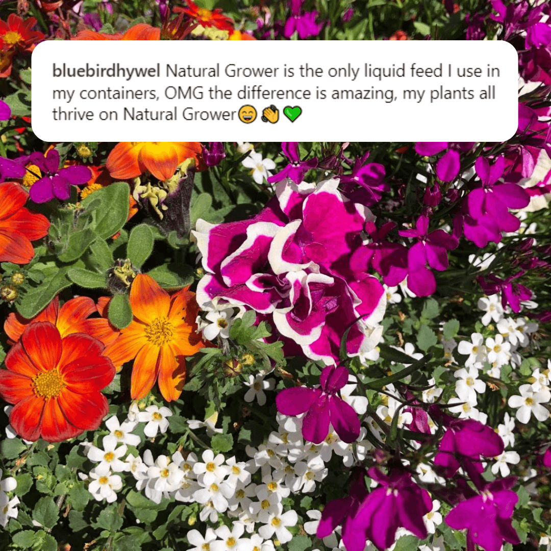 Natural Liquid Fertiliser 10L